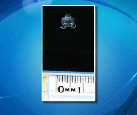 1480129226139177.jpg 640.webp (3).jpg