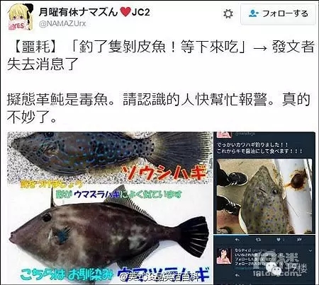 1480148372302556.jpg 0.webp (5).jpg