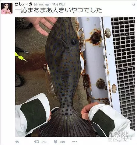 1480148389132275.jpg 0.webp (7).jpg