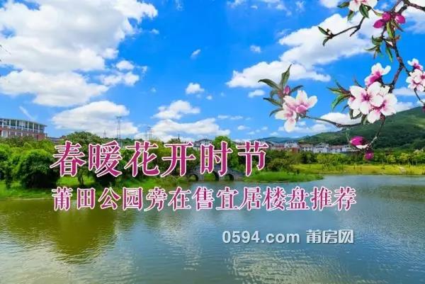 1487551444108758.jpg 1.jpg