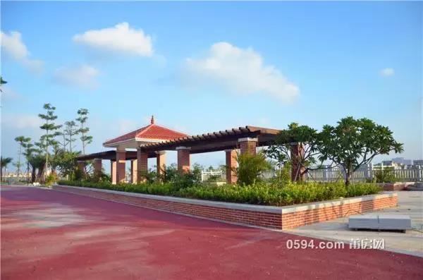 1487551490110733.jpg 7.jpg